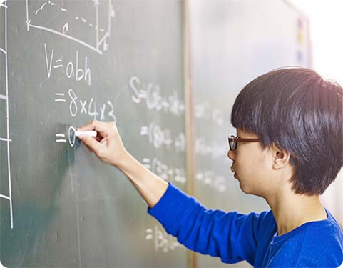 Mathematics Skills